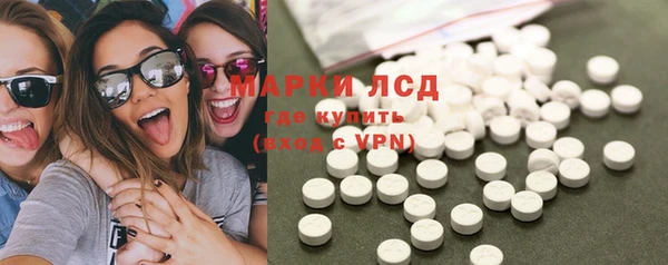 стафф Новокубанск