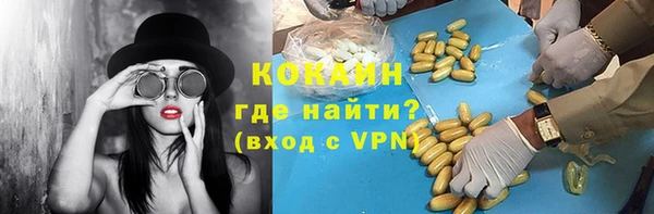 стафф Новокубанск