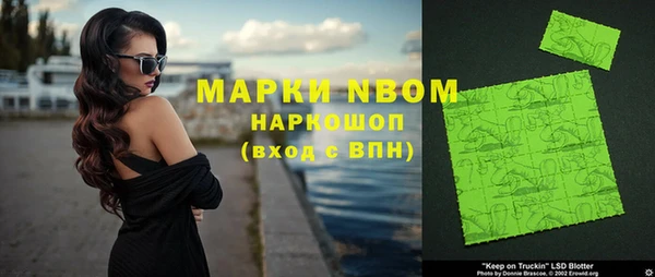 стафф Новокубанск
