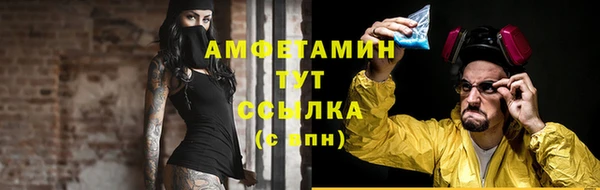 прущие грибы Новодвинск