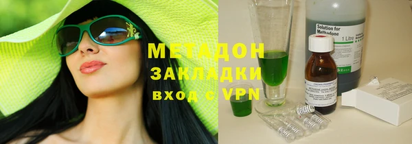 прущие грибы Новодвинск