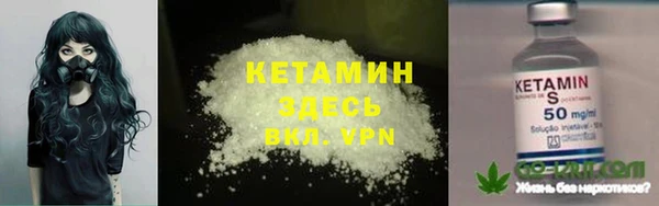 прущие грибы Новодвинск