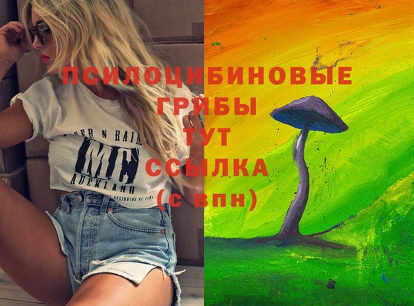 скорость mdpv Новозыбков