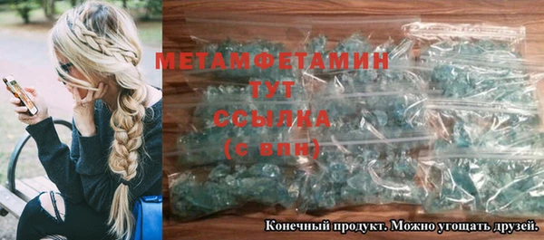 прущие грибы Новодвинск