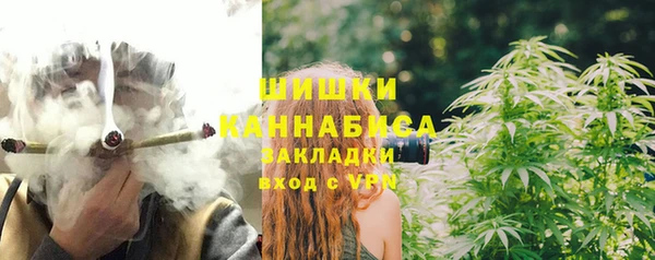 прущие грибы Новодвинск
