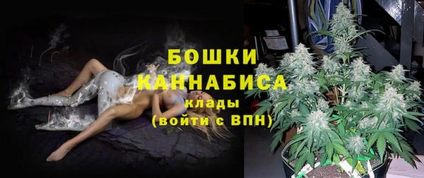 прущие грибы Новодвинск