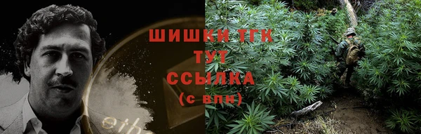 прущие грибы Новодвинск