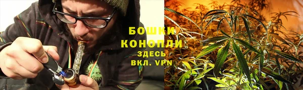 стафф Новокубанск