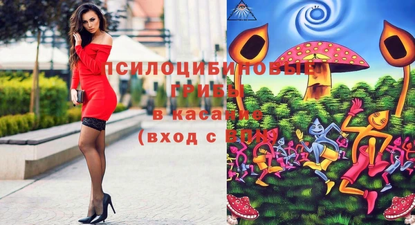 прущие грибы Новодвинск